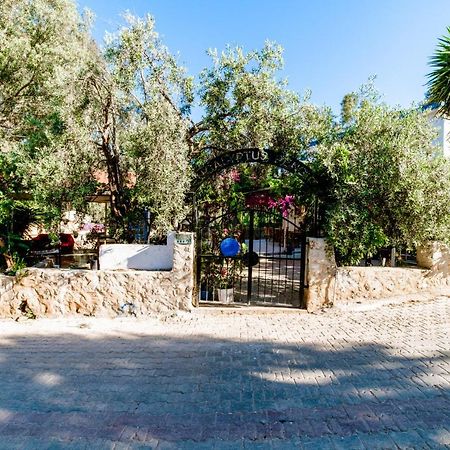 Eucalyptus Pension Патара Екстер'єр фото