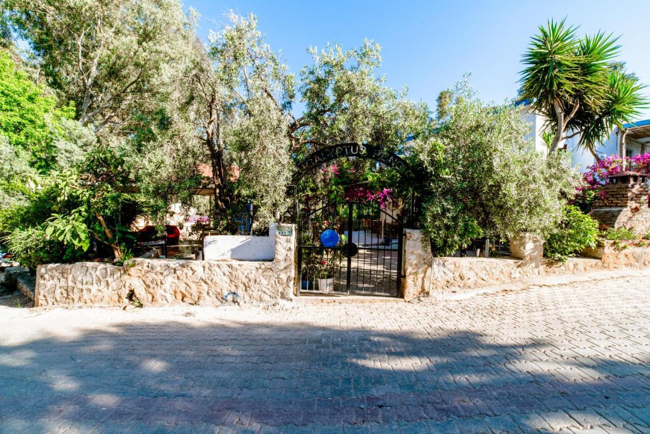 Eucalyptus Pension Патара Екстер'єр фото