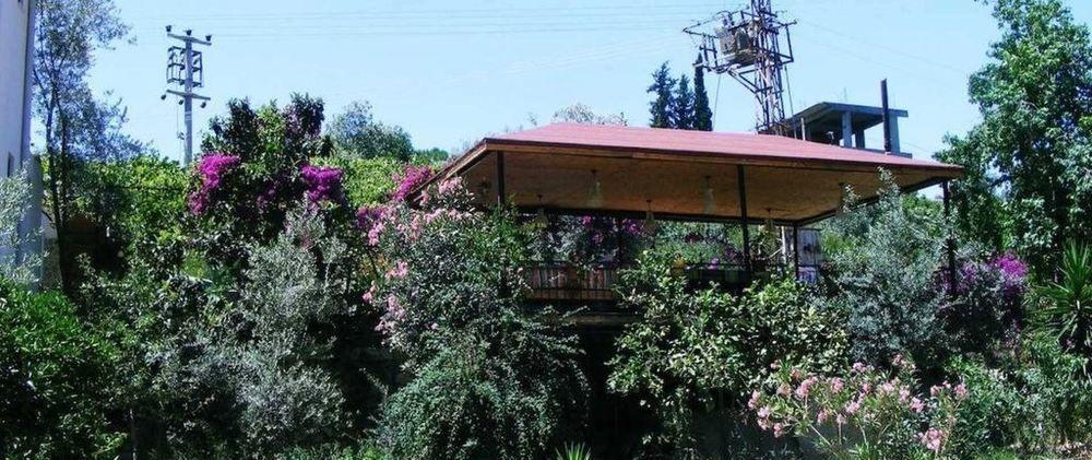 Eucalyptus Pension Патара Екстер'єр фото